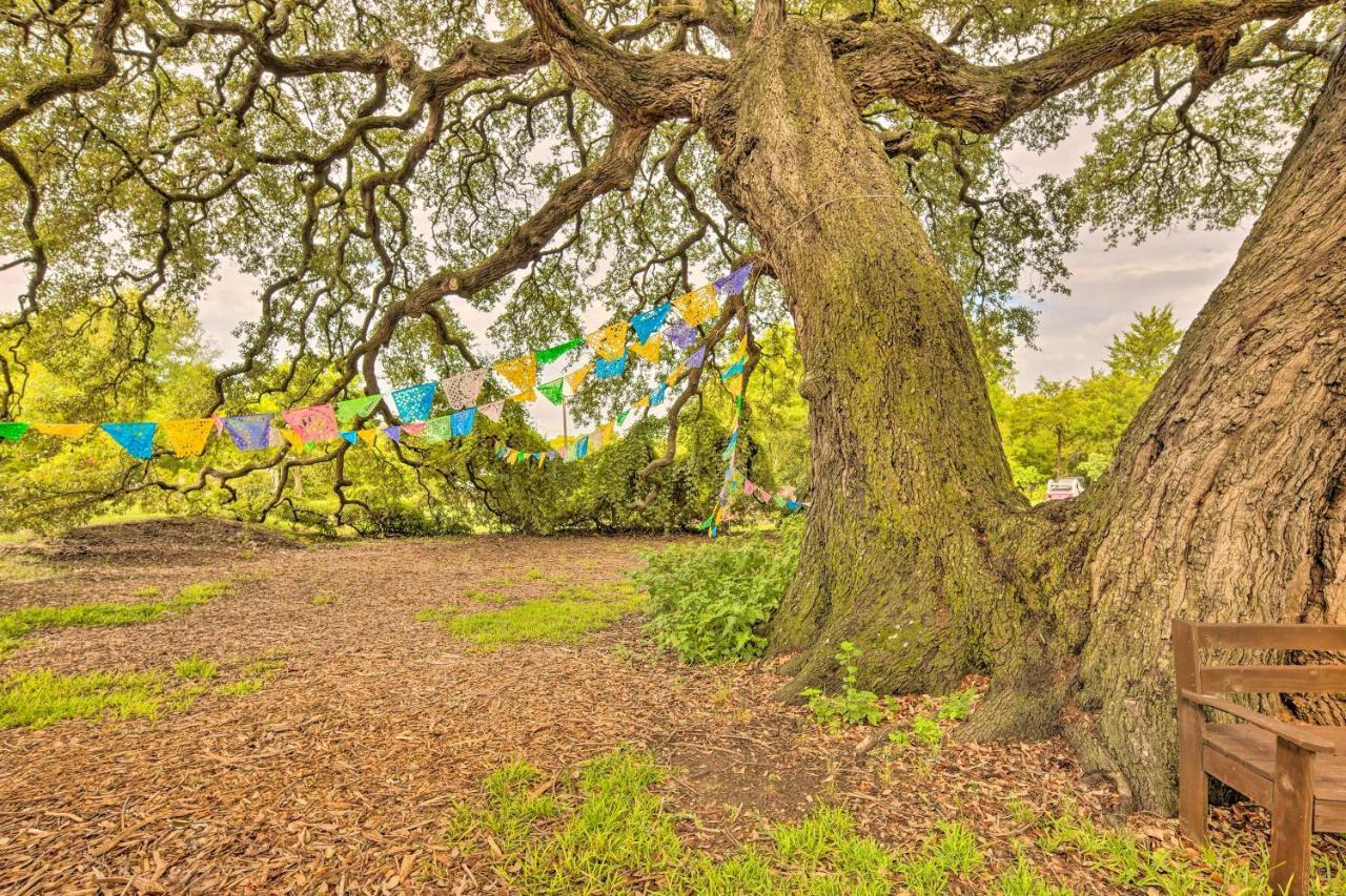 The Gathering Place Brenham Home On 6 Acres Eksteriør billede